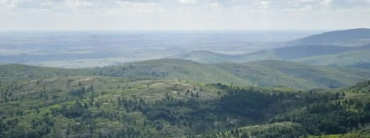 Uruguayische Landschaft